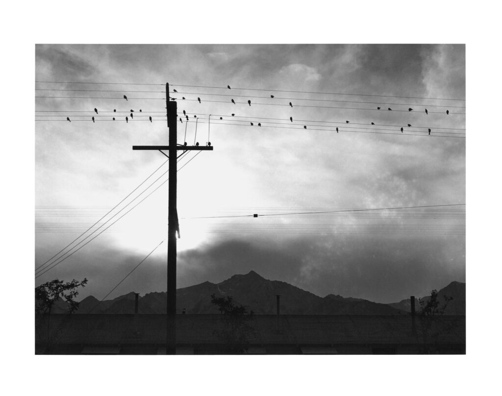 Manzanar: The Wartime Photographs of Ansel Adams