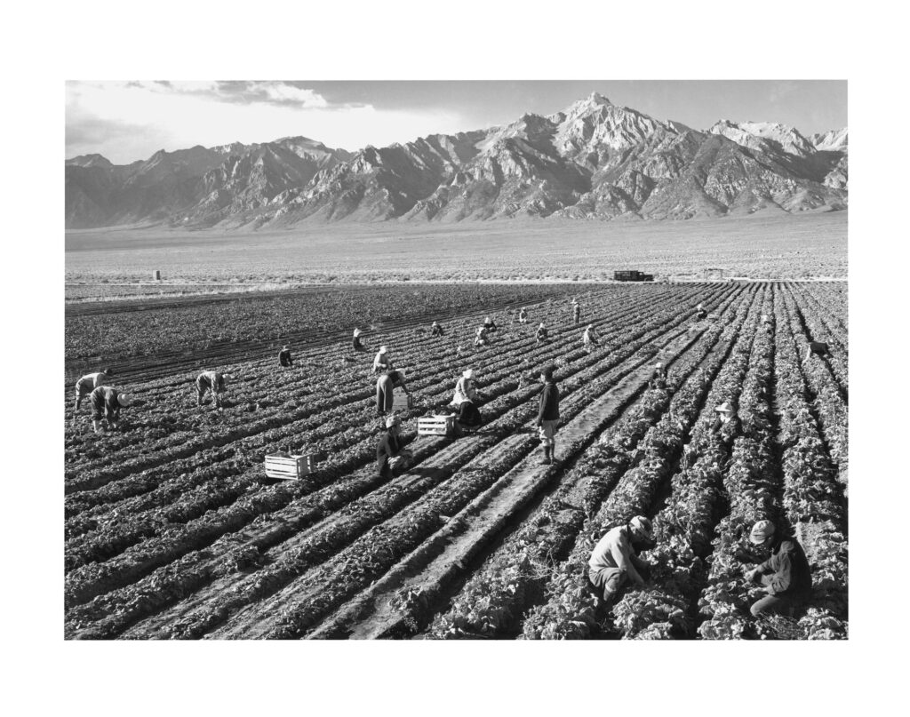 Manzanar: The Wartime Photographs of Ansel Adams