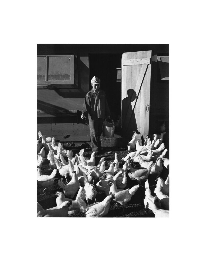 Manzanar: The Wartime Photographs of Ansel Adams